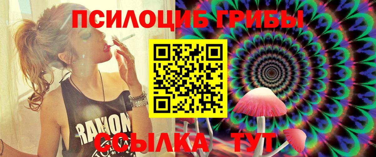 Галлюциногенные грибы Psilocybine cubensis Мариинск